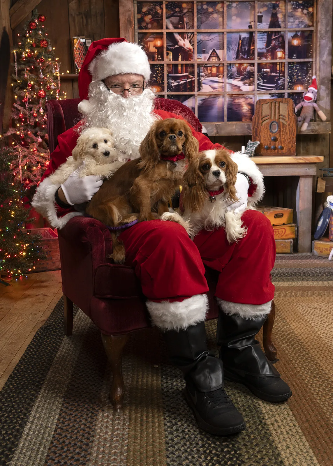 Santa holding three small dogs